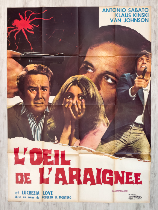 The Eye of the Spider / L'occhio del ragno - French Grande / One-Panel