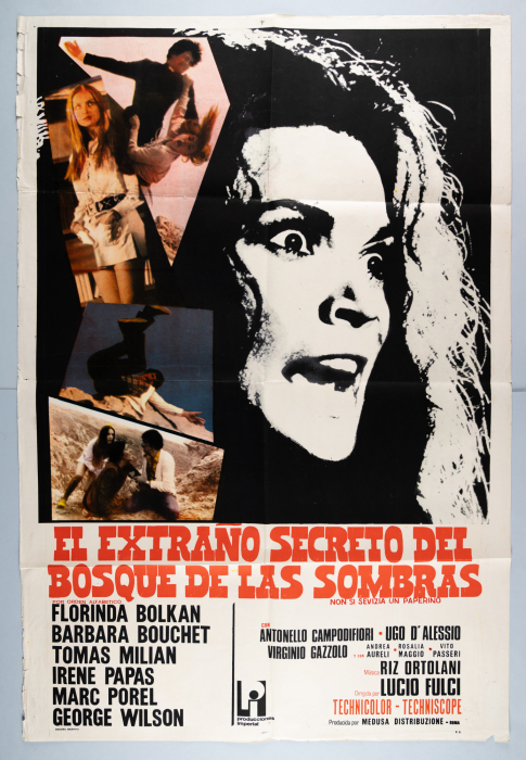 Don't Torture a Duckling / Non si sevizia un paperino - Argentinisches Plakat